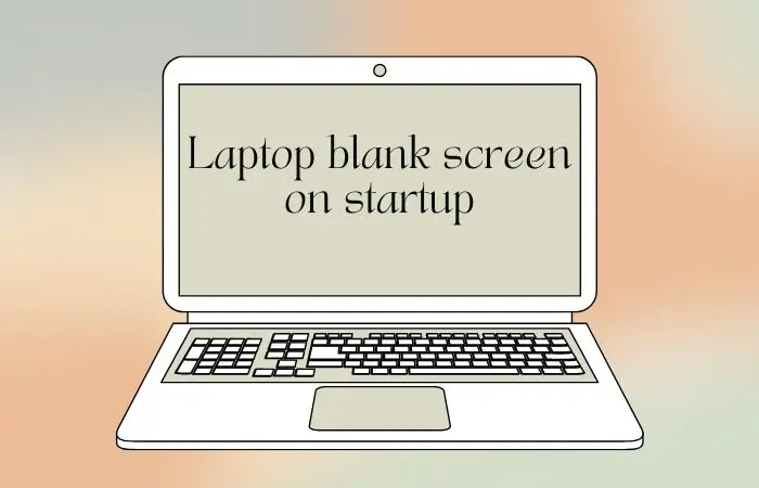 Laptop Computer Blank Screen on Startup