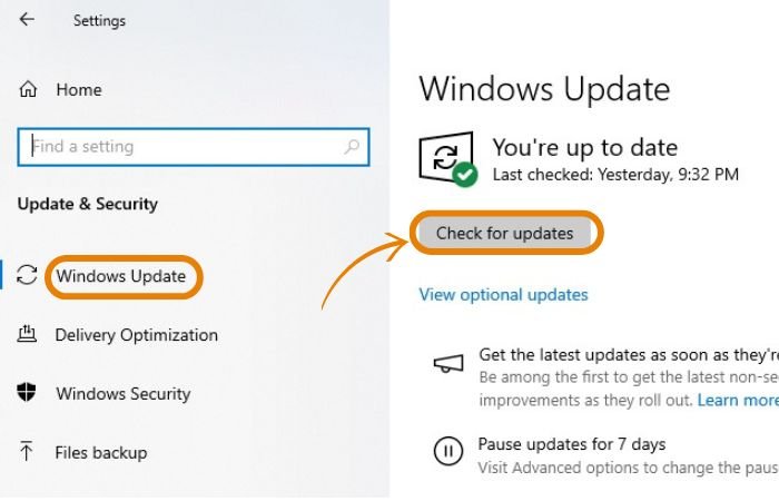 Windows 11 Check for Update